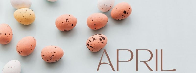 April themed banner with Easter eggs, featured on XCL website