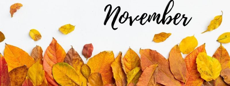 Thematic banner, fallen leaves, featured on xcl website