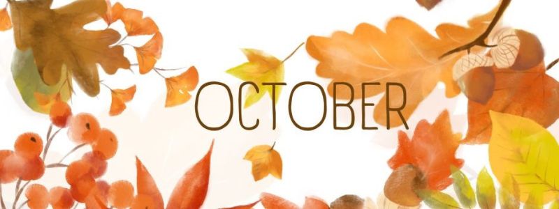 Thematic header image for the October newsletter, featured on XCL website