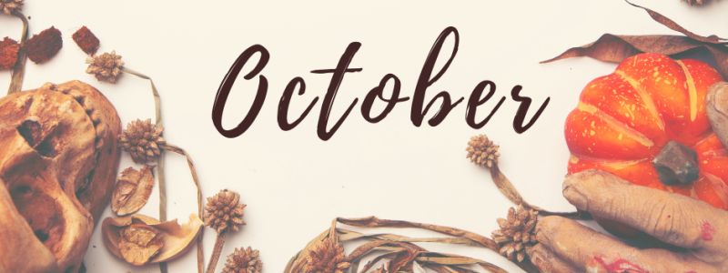 Pumpkin, autumnal scenery, featured on XCL website