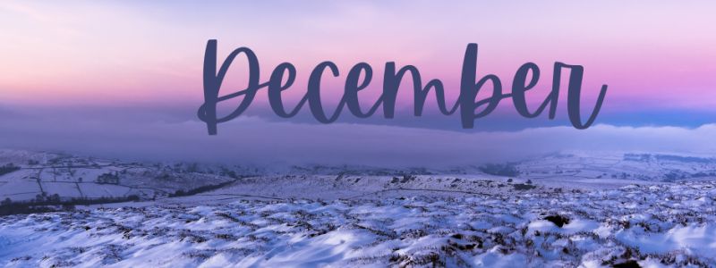 Snowy Fields, with the sun setting featured on the December Newsletter